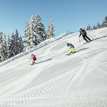 Adult skier with 2 children